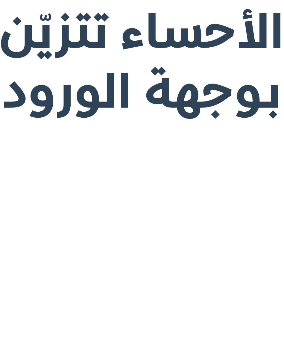 الأحساء تتزيّن بـوجهة الورود