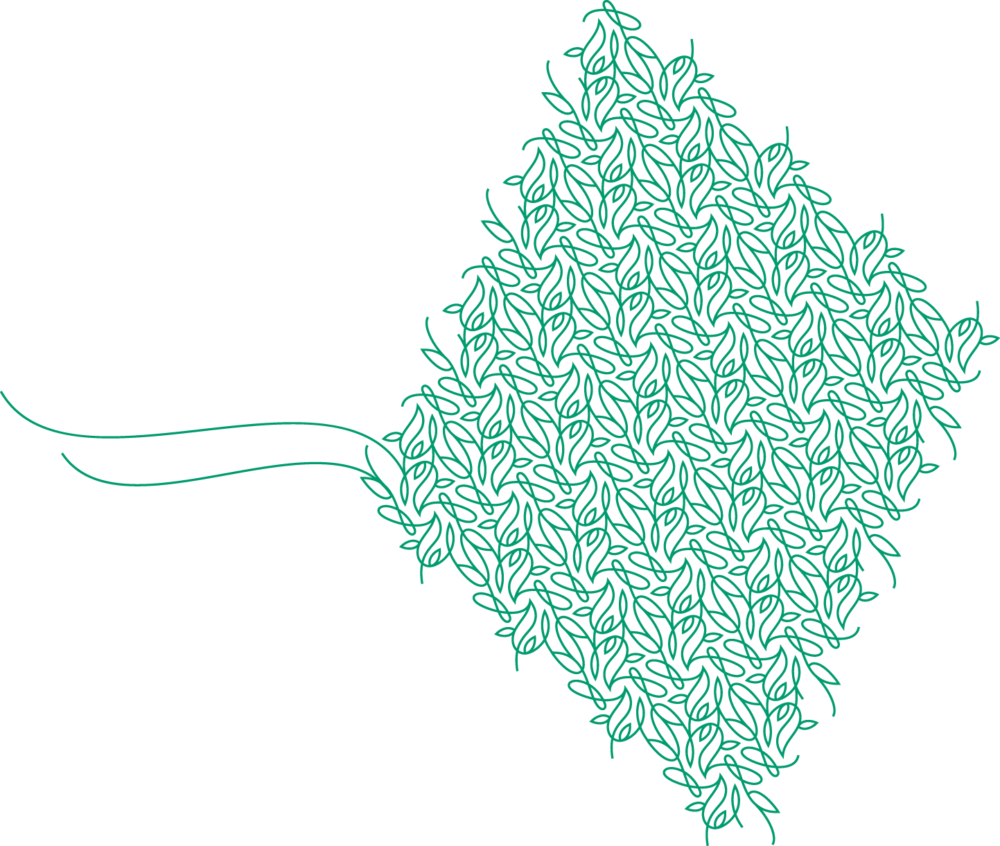 Polygon