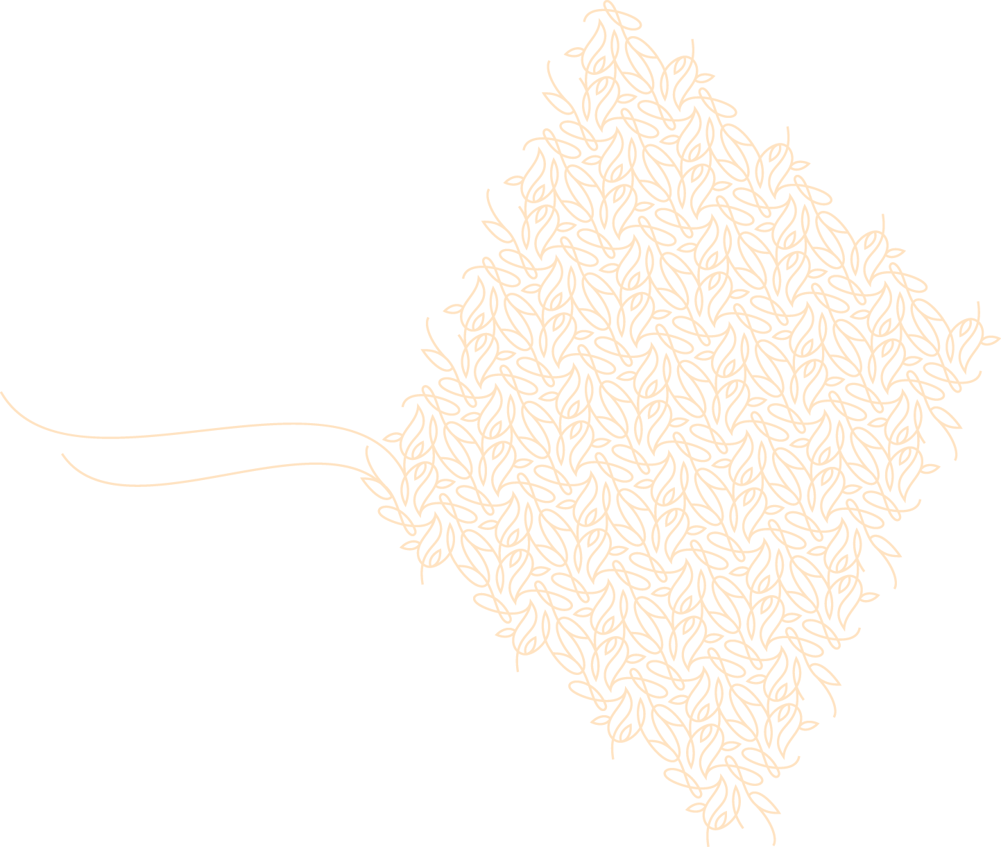 Polygon