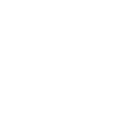 الأحساء تتزين بوجهة الورود